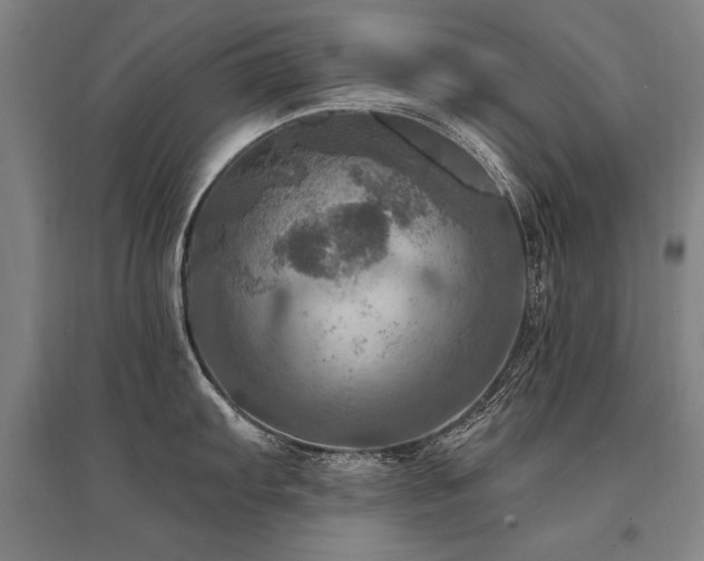 X0000095551103200712141549