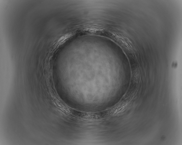 X0000095551105200712141549