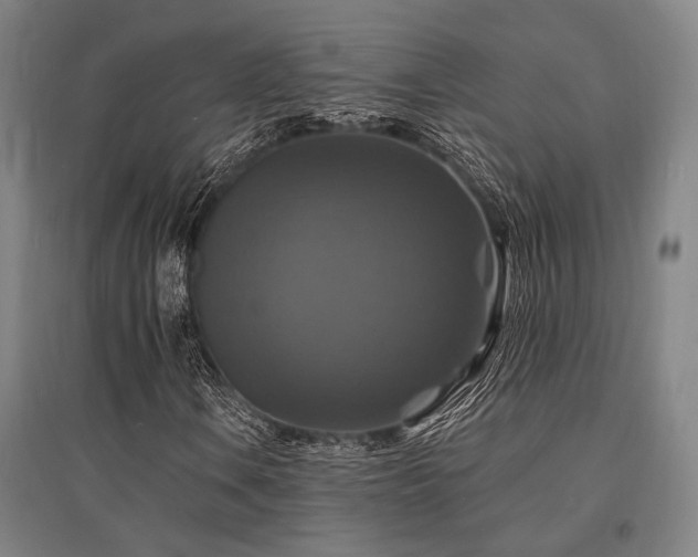 X0000095551106200712141549