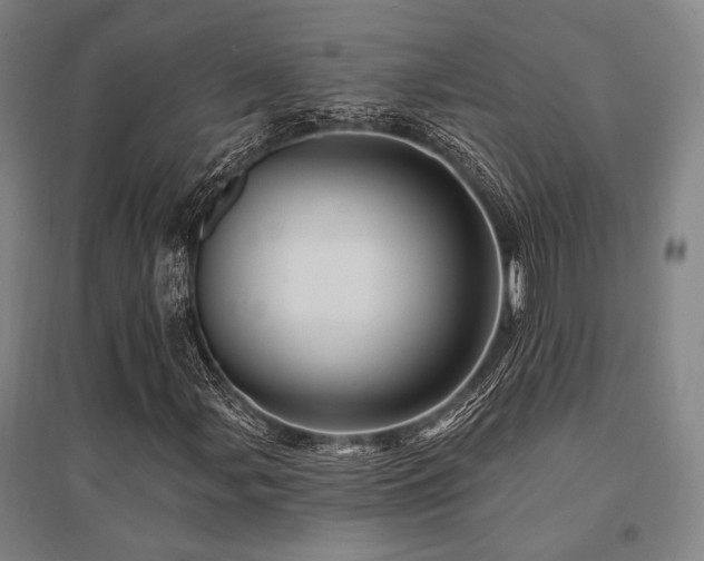 X0000095551107200712141549