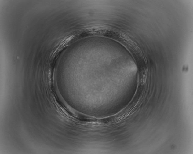 X0000095551108200712141549