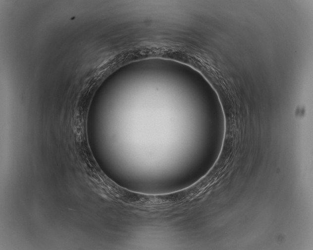 X0000095551109200712141549