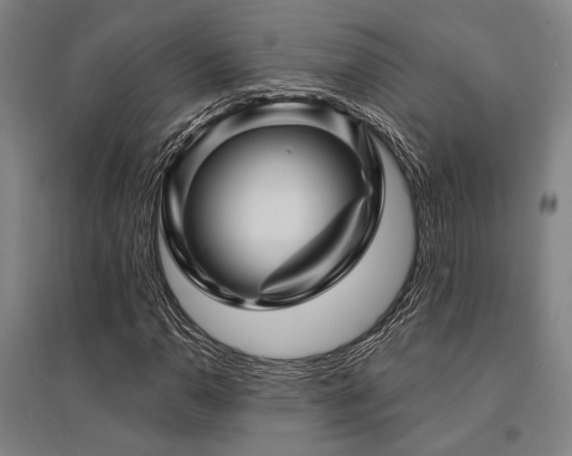 X0000095551110200712141549