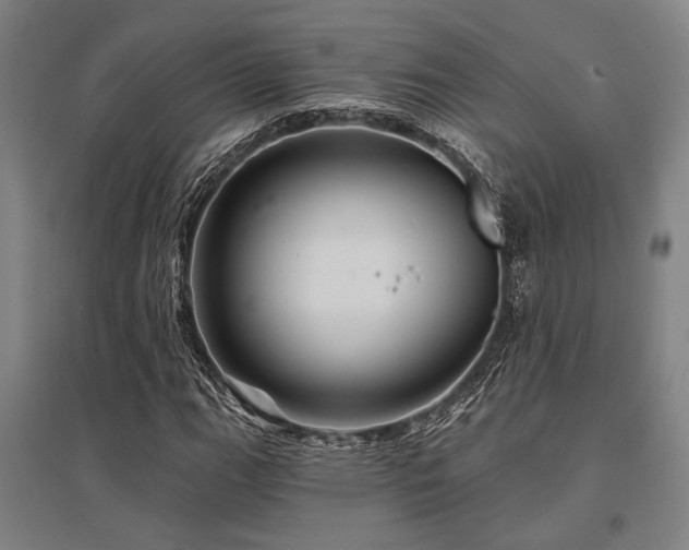 X0000095551111200712141549