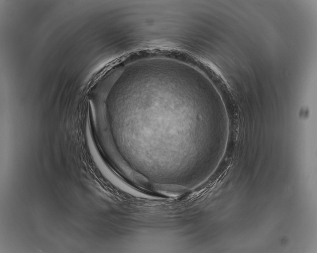 X0000095551112200712141549