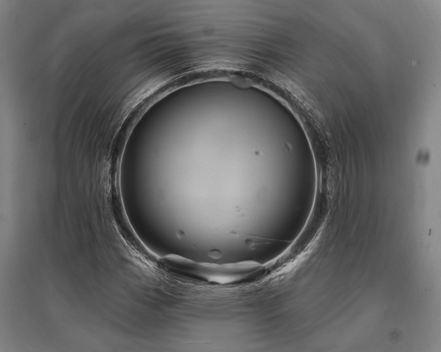 X0000095551113200712141549