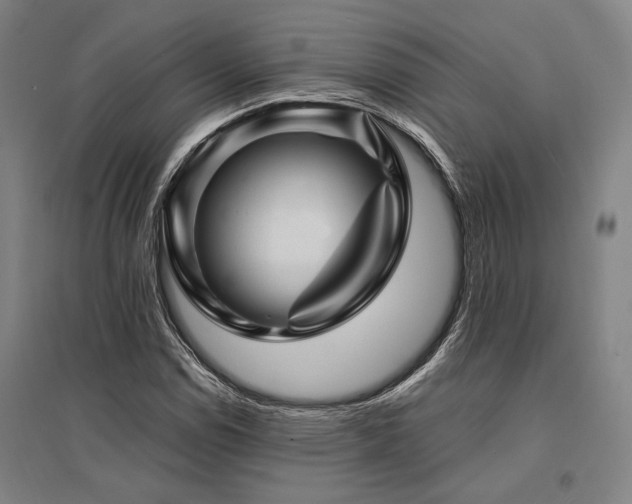 X0000095551114200712141549