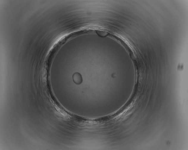 X0000095551115200712141549