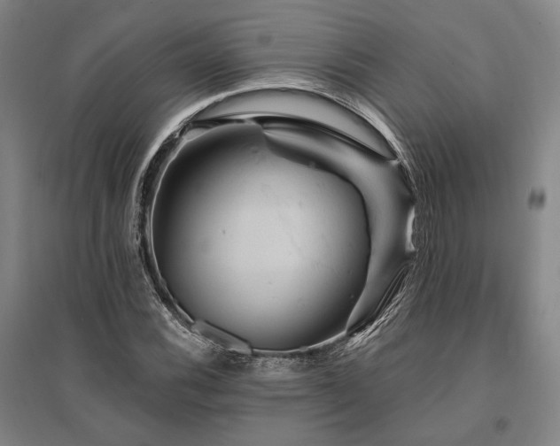 X0000095551116200712141549