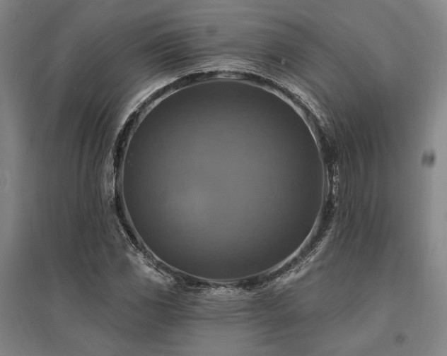 X0000095551117200712141549