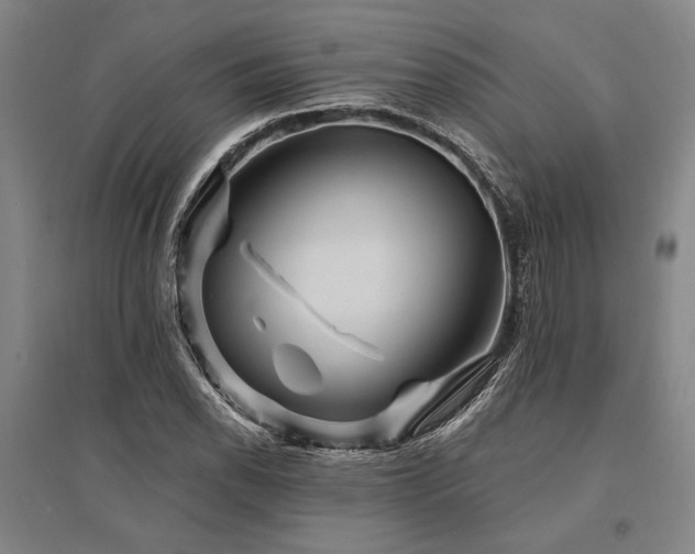 X0000095551118200712141549