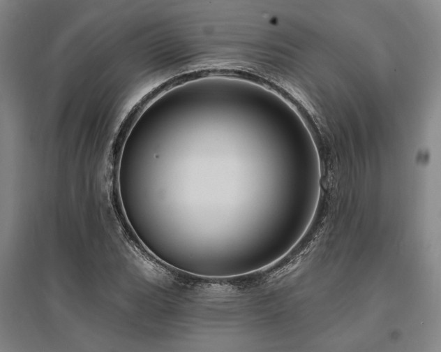 X0000095551119200712141549