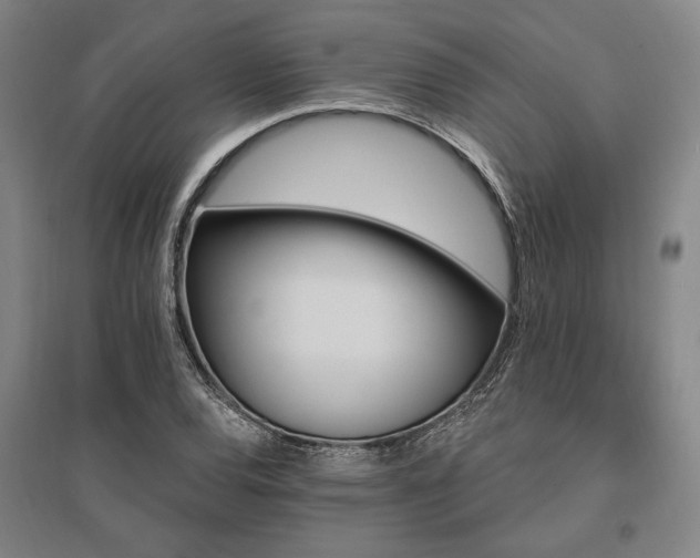 X0000095551120200712141549