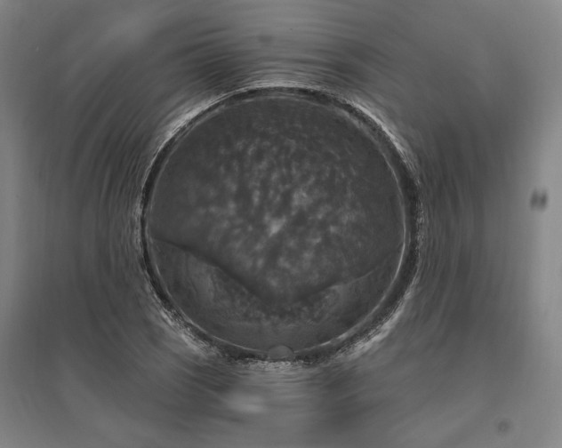 X0000095551121200712141549
