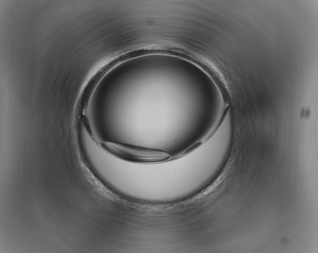 X0000095551122200712141549