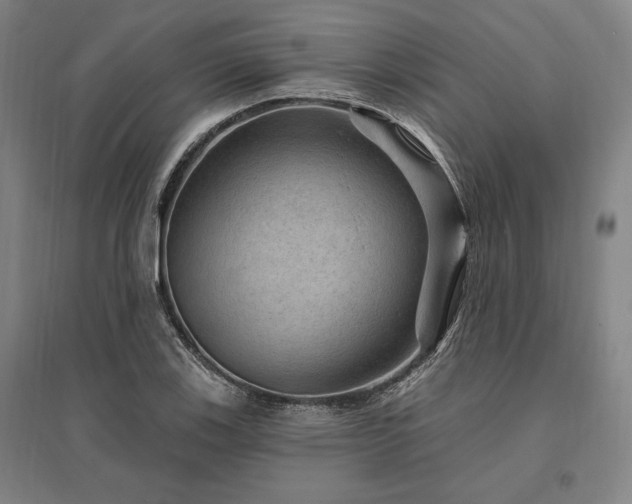 X0000095551123200712141549