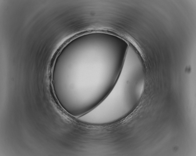 X0000095551124200712141549