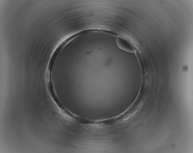 X0000095551125200712141549