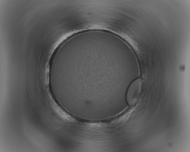 X0000095551126200712141549