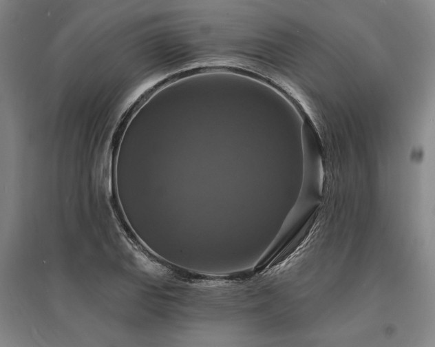 X0000095551127200712141549
