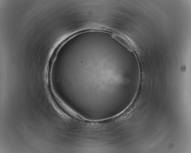 X0000095551128200712141549