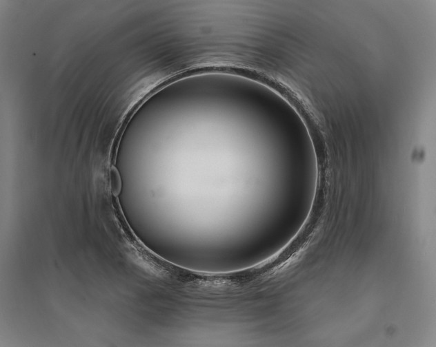 X0000095551129200712141549