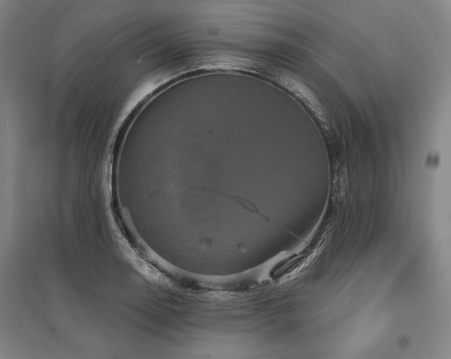 X0000095551130200712141549