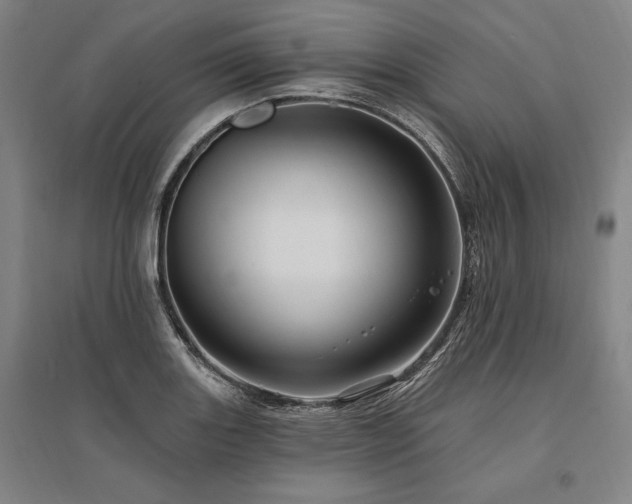 X0000095551131200712141549