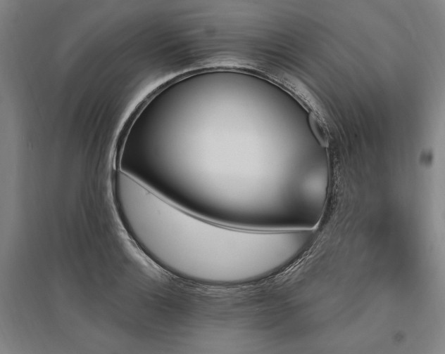 X0000095551132200712141549