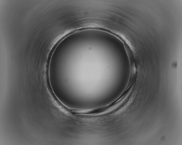 X0000095551134200712141549