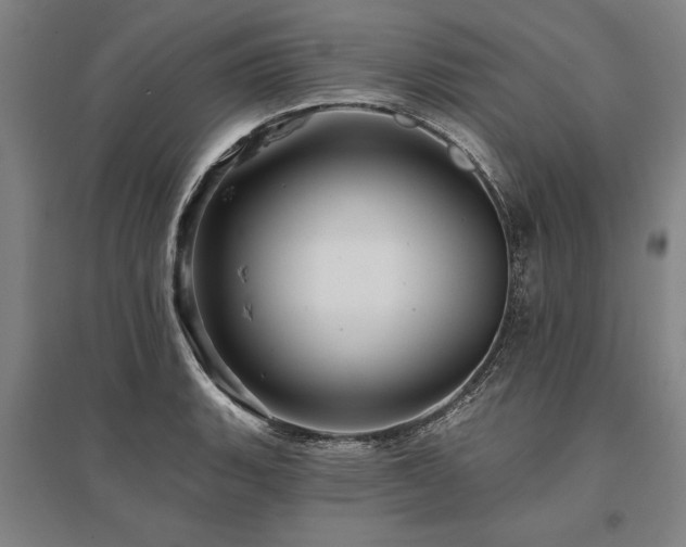 X0000095551135200712141549