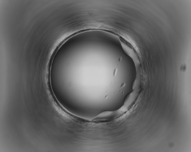 X0000095551136200712141549