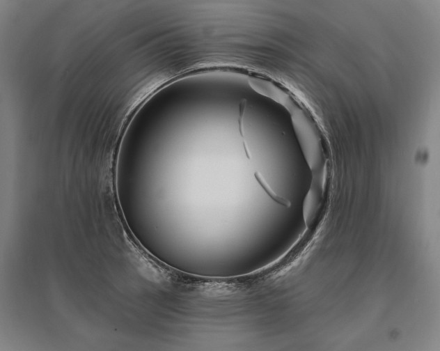 X0000095551137200712141549