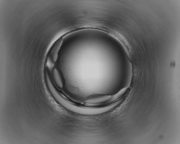 X0000095551138200712141549