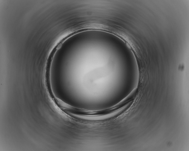 X0000095551139200712141549