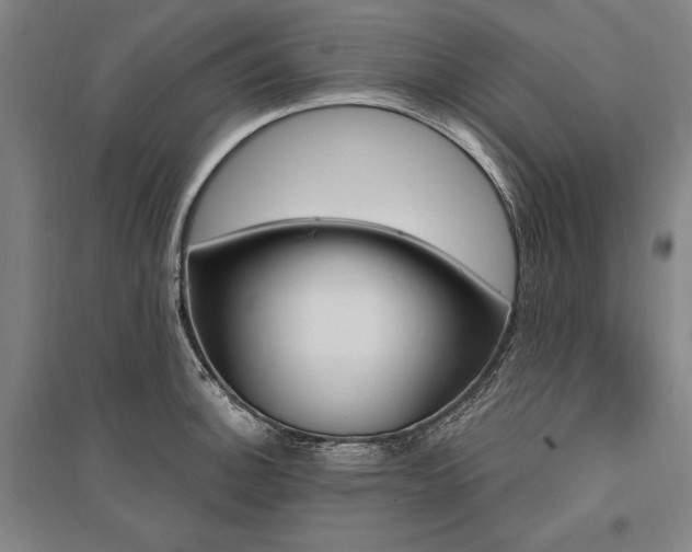 X0000095551140200712141549