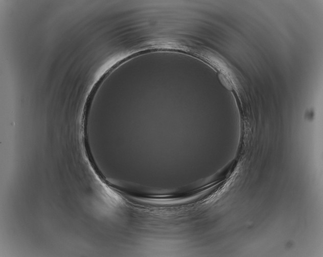 X0000095551141200712141549