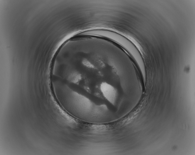 X0000095551142200712141549