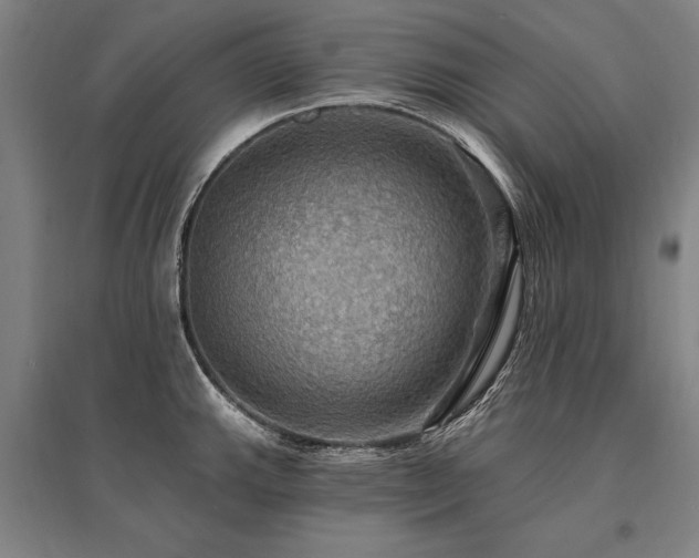 X0000095551143200712141549