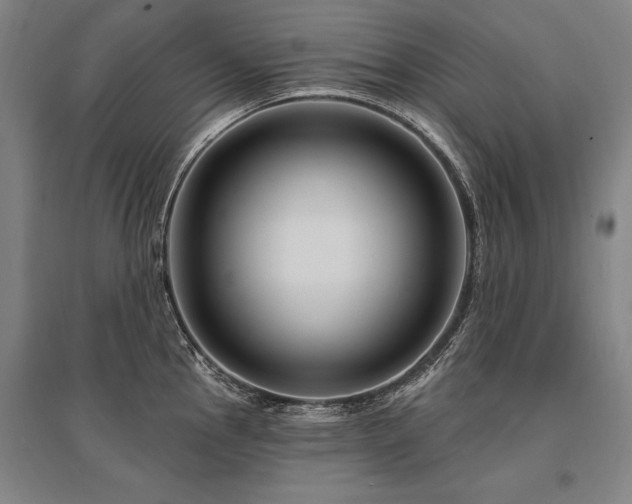 X0000095551145200712141549