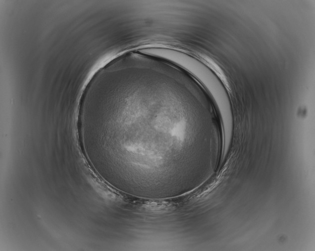 X0000095551146200712141549