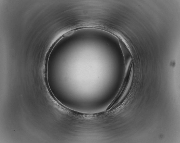 X0000095551147200712141549