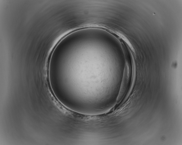 X0000095551148200712141549