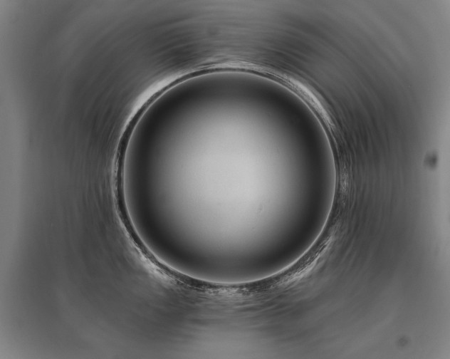 X0000095551149200712141549