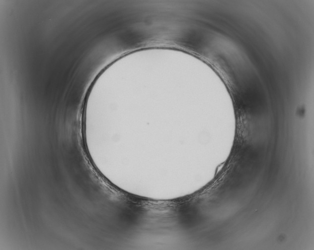 X0000095551150200712141549