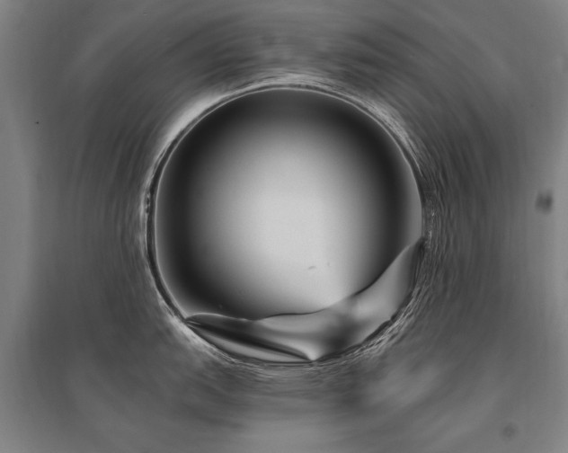 X0000095551151200712141549