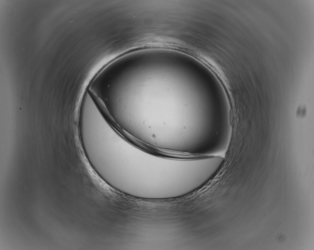X0000095551152200712141549