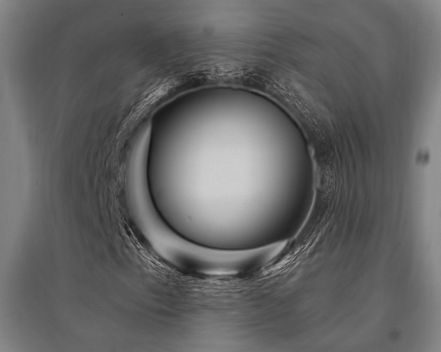 X0000095551153200712141549