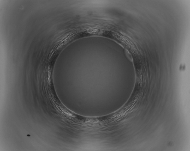 X0000095551154200712141549