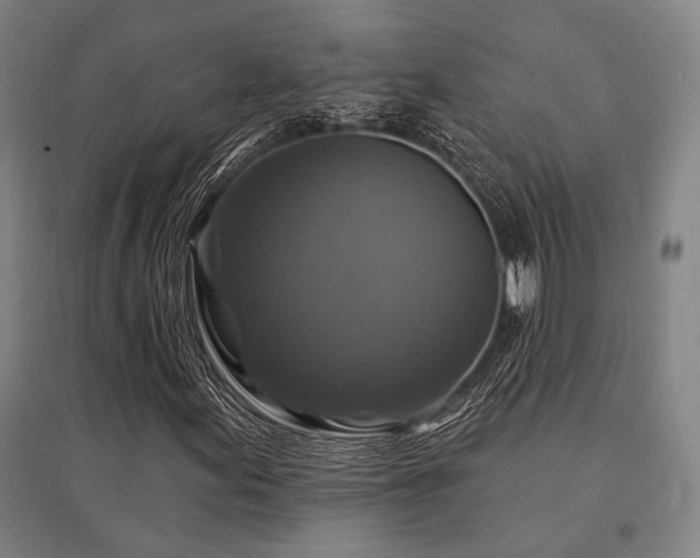 X0000095551155200712141549